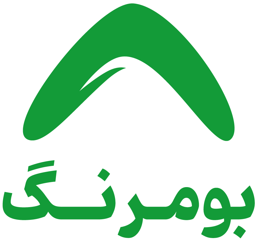 Boomrang Logo